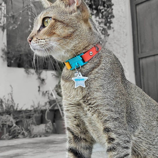 The Trendsetter Breakaway Cat Collar - Skanky Kitty